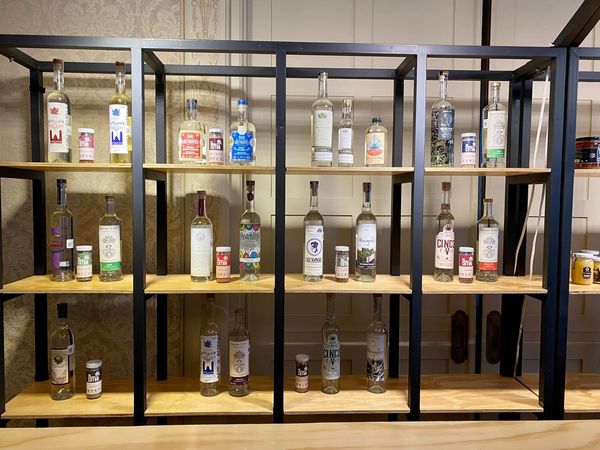 mezcales poblanos