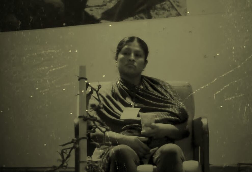 Retos y oportunidades para las mujeres mezcaleras en el H. Congreso de Oaxaca.