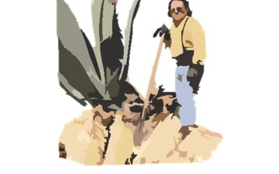 Certificación internacional Mezcal Temachtiani en Mineral de Pozos, Guanajuato.