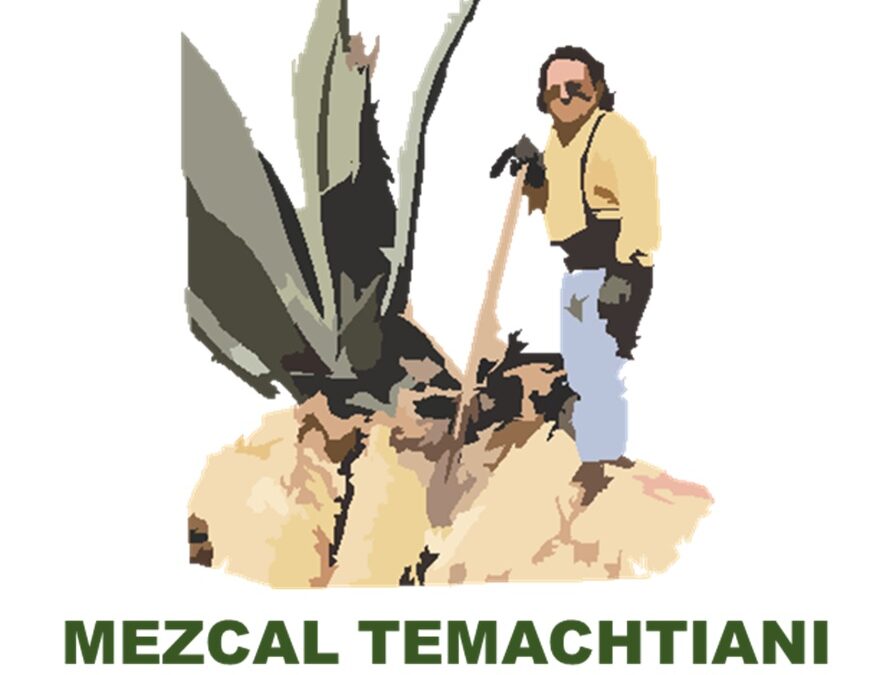 Certificación internacional Mezcal Temachtiani en Mineral de Pozos, Guanajuato.