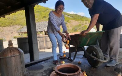 Mezcal de pechuga para recibir a nuestros muertos. Autora: Elhy Hernández.