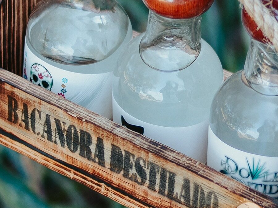 Que el Bacanora sea para Sonora, lo que el Tequila es para Jalisco.