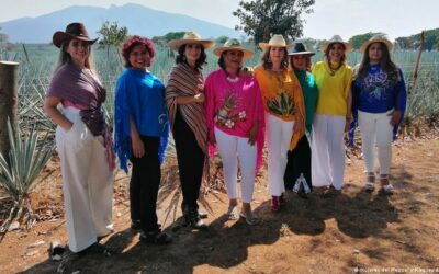 Historias de mujeres, bebidas destiladas y documentales de producción europea.