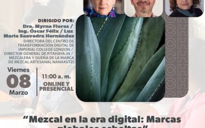 Ciclo de conferencias EGAVE 2024