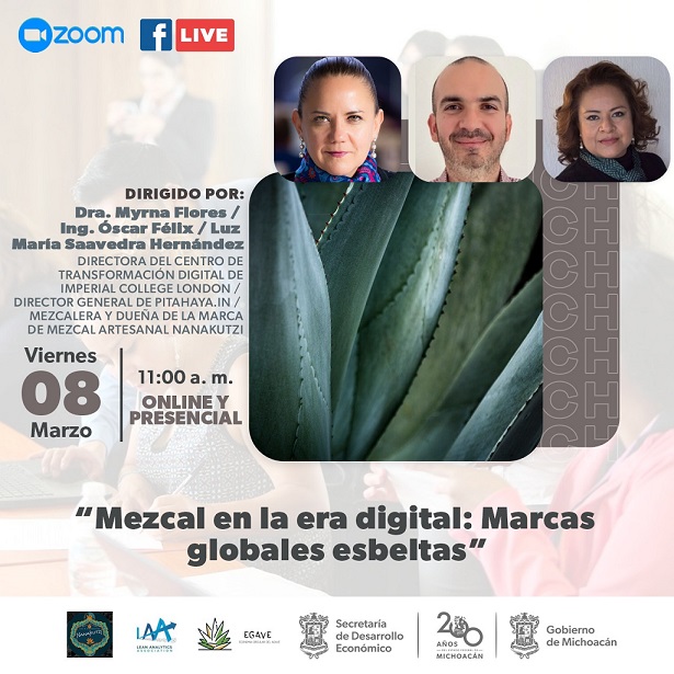 Ciclo de conferencias EGAVE 2024