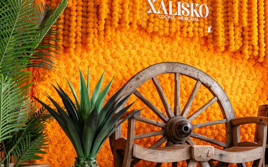 Mezcales y Bacanoras en Xalisko